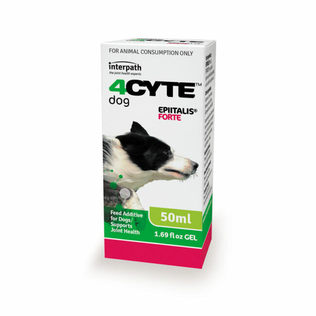 4CYTE Epiitalis Forte Gel for Dogs 50ml 1