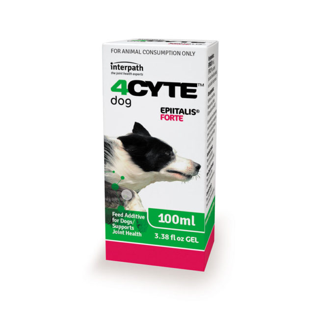 4CYTE Epiitalis Forte Gel for Dogs 100ml 1