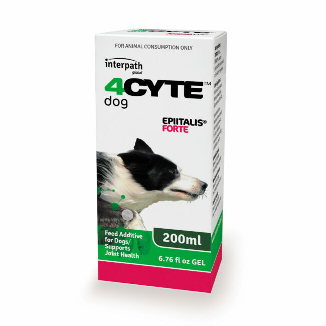 4Cyte Epiitalis Forte Gel for Dogs 200ml 1