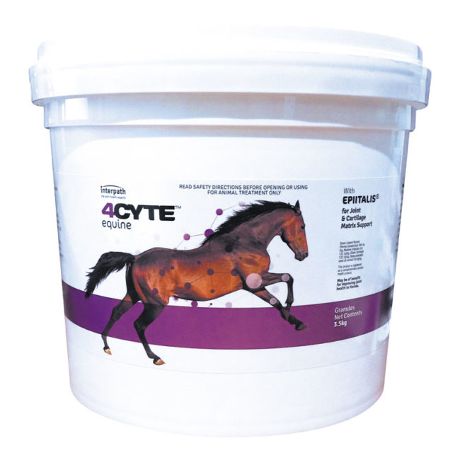 4CYTE Horse Joint Supplement Granules 3.5kg Pail 1