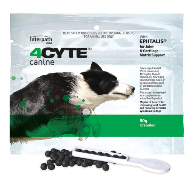 4Cyte Dog Joint Supplement Granules 50g Sachet 1