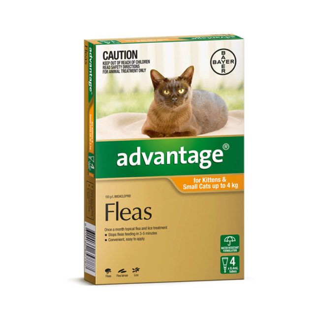 Advantage Orange Spot-On for Kittens & Small Cats - 4 Pack 1