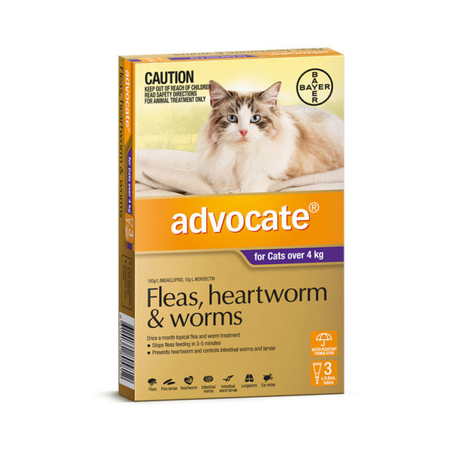 Advocate Purple Spot-On for Medium & Large Cats - 3 Pack 1