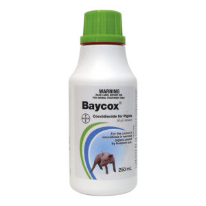Baycox Piglet and Cattle 250ml