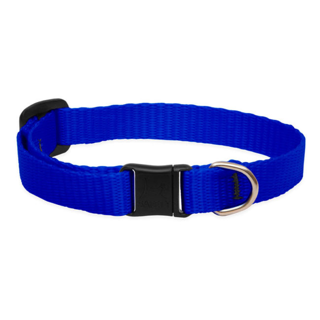 Lupine Blue Safety Cat Collar 1