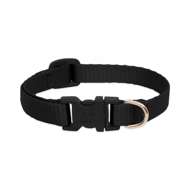 Lupine Black Large Dog Collar 12-20"