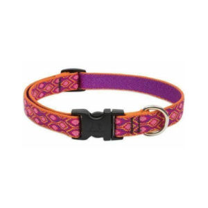 Lupine Alpen Glow Medium Dog Collar 13-22"
