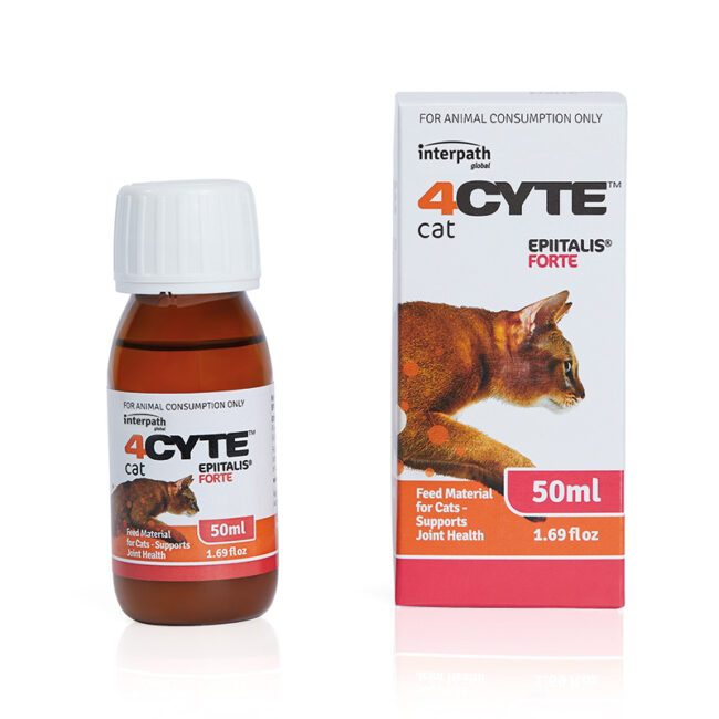 4Cyte Epiitalis Forte Gel for Cats 50ml 1