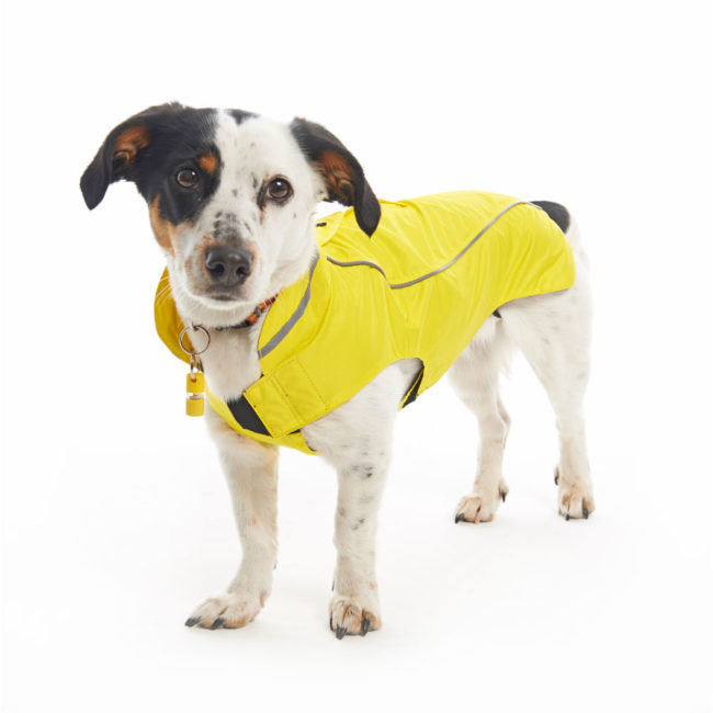 BUSTER Classic Dog Raincoat Lemon Medium/Large 2