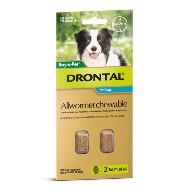 Drontal Allwormer Chews for Dogs (up to 10kg) - 2 Pack 1