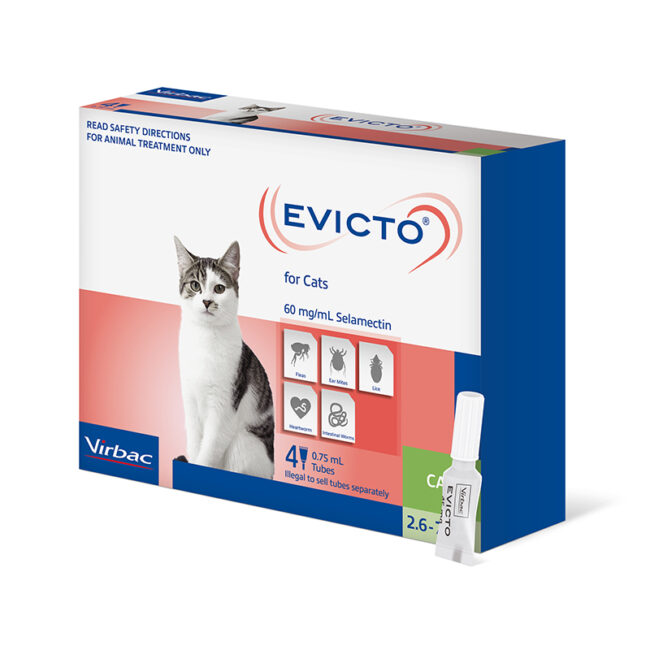 Evicto Spot-On for Cats - 4 Pack 1