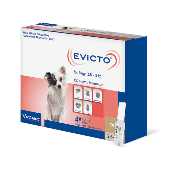 Evicto Spot-On for Very Small Dogs - 4 Pack 1