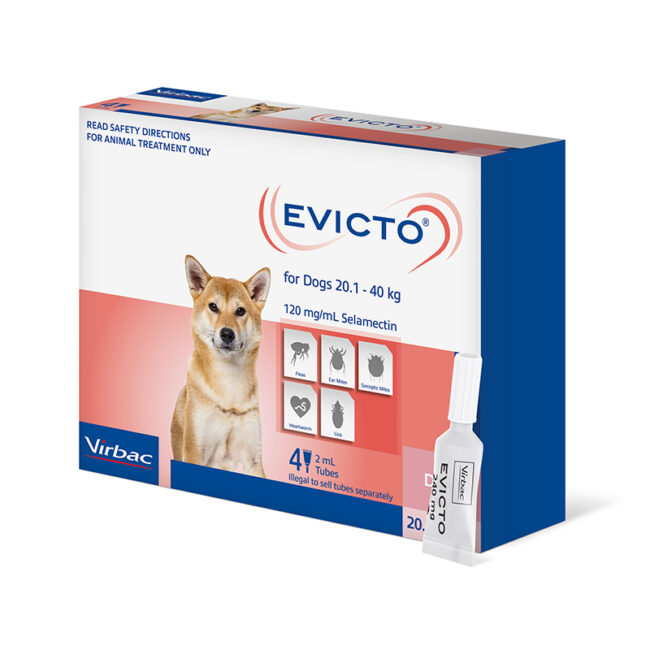 Evicto Spot-On for Large Dogs - 4 Pack 1