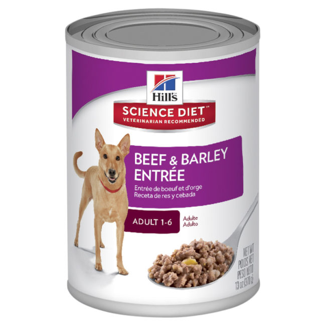 Hills Science Diet Adult Dog Beef & Barley Entree 370g x 12 Cans 1