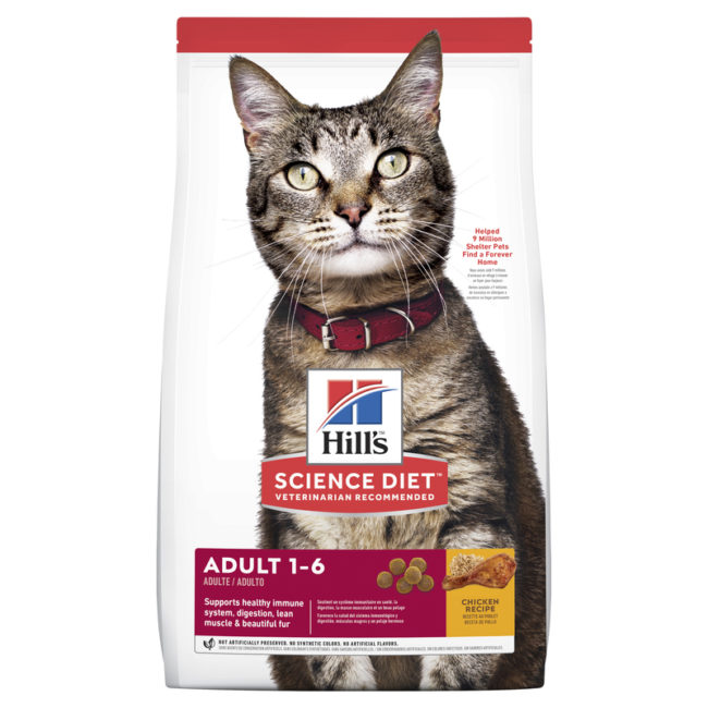 Hills Science Diet Adult Cat Chicken Recipe 6kg 1