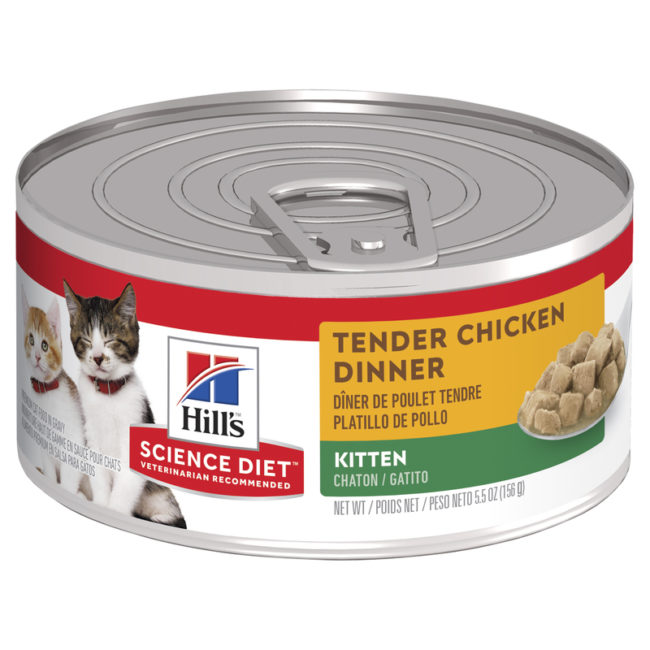 Hills Science Diet Kitten Tender Chicken Dinner 156g x 24 Cans 1
