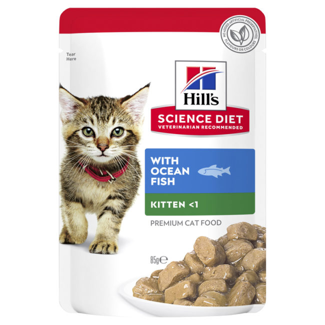 Hills Science Diet Kitten Ocean Fish Cat Food 85g x 12 Pouches 1