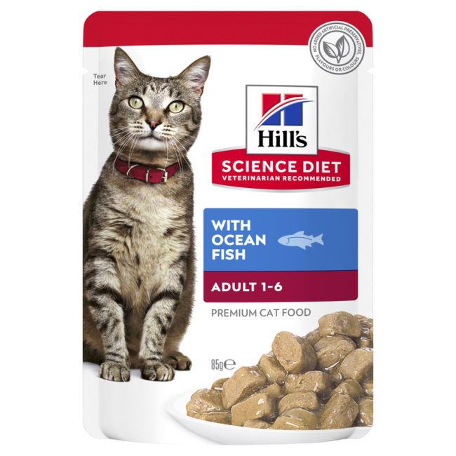 Hills Science Diet Adult Ocean Fish Cat Food 85g x 12 Pouches 1