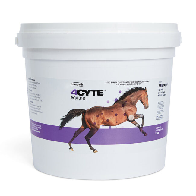 4Cyte Horse Joint Supplement Granules 3.5kg Pail 1
