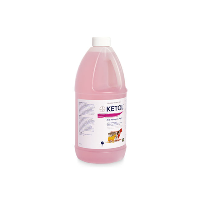 Ketol Anti-Ketogenic Agent 2L