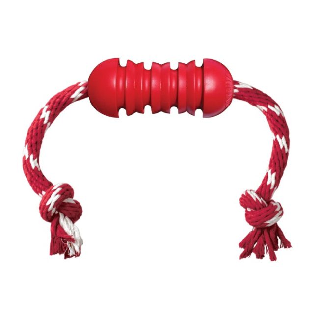 Kong Rubber Dental Dog Toy with Rope Small 1