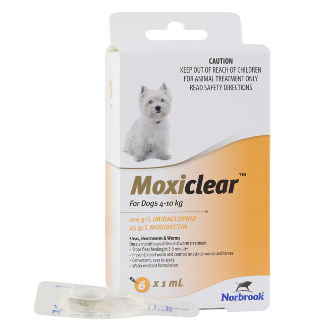 Moxiclear Yellow for Small Dogs - 6 Pack 1