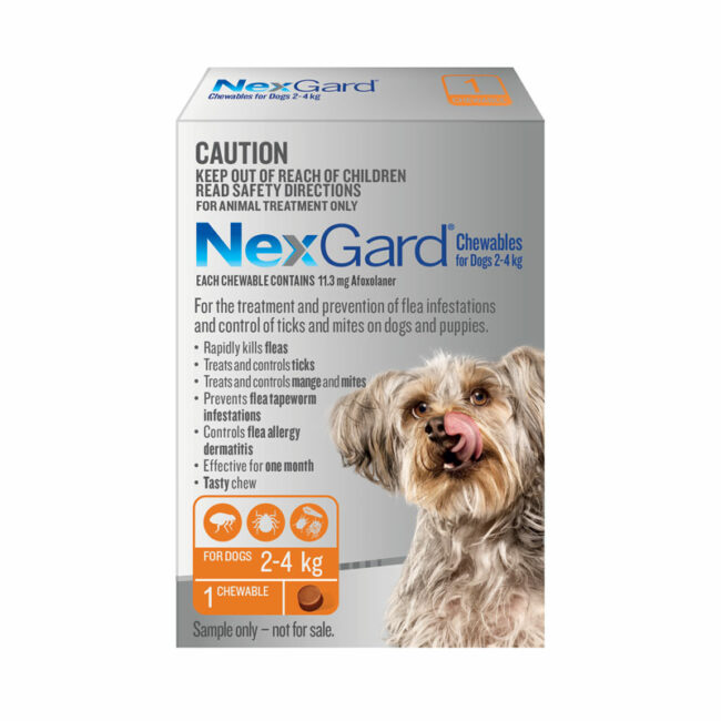 NexGard Orange Chew for Small Dogs (2-4kg) - Single 1