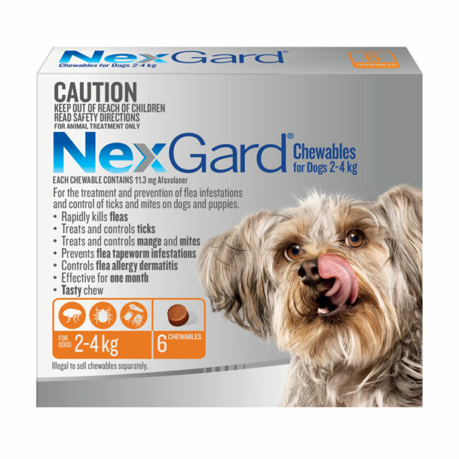 NexGard Orange Chews for Small Dogs (2-4kg) - 6 Pack 1