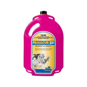 Coopers Panacur 25 Drench for Sheep
