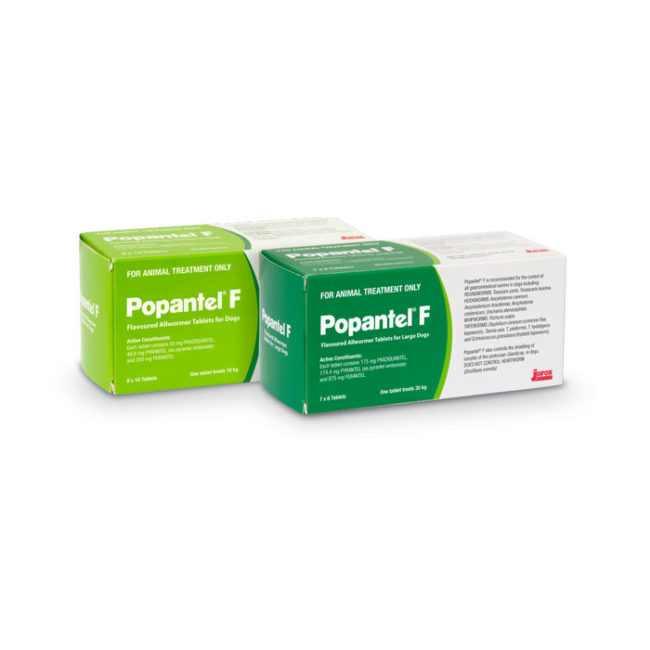 Popantel F Flavoured Allwormer Tablets for Dogs - 4 Tablets 1