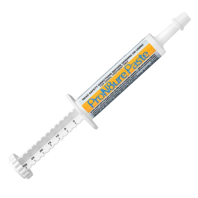 ProN8ure Multi-Strain Probiotic Paste Syringe 30g 1