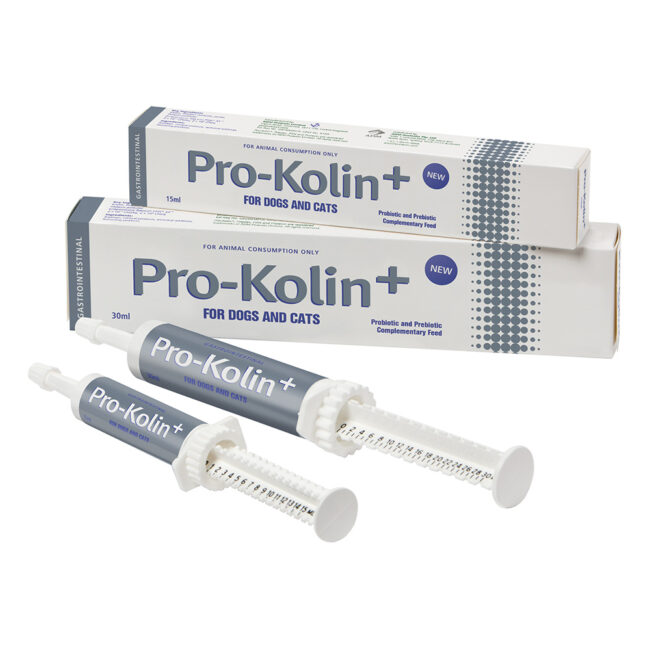 Pro-Kolin Probiotic Paste for Cats and Dogs 15ml 1