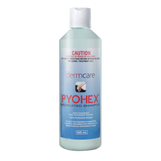 Pyohex Medicated Shampoo 500ml 1