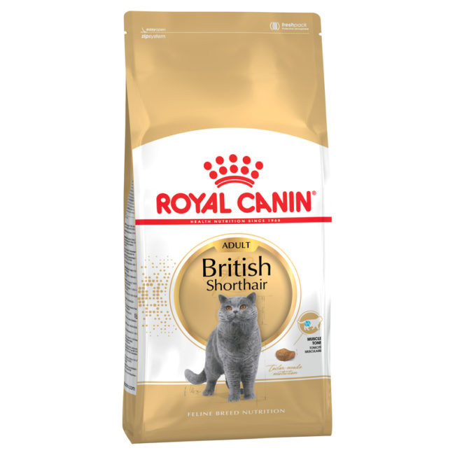 Royal Canin Feline Breed Nutrition British Shorthair Adult 4kg 1