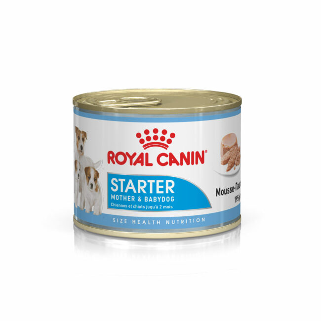 Royal Canin Mother and Babydog Starter Mousse 195g x 12 Cans 1