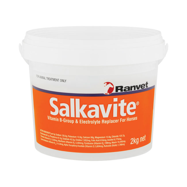 Salkavite Equine Electrolyte Supplement 2kg 1