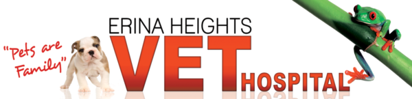 Erina Heights Vet Hospital Online Shop